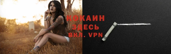 бошки Абаза