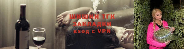 гидра Михайловск