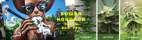 бошки Абаза