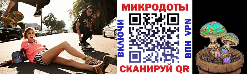 это телеграм Кириллов Галлюциногенные грибы Psilocybine cubensis