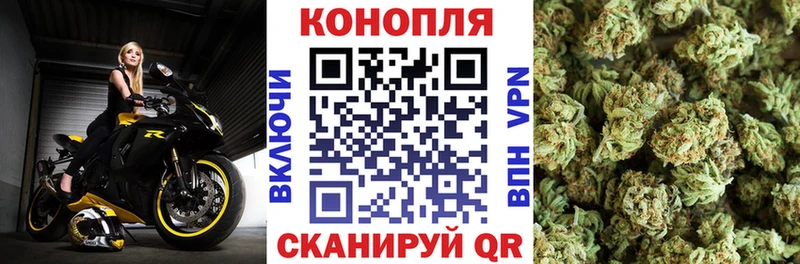 hydra   Кириллов  Бошки марихуана индика 